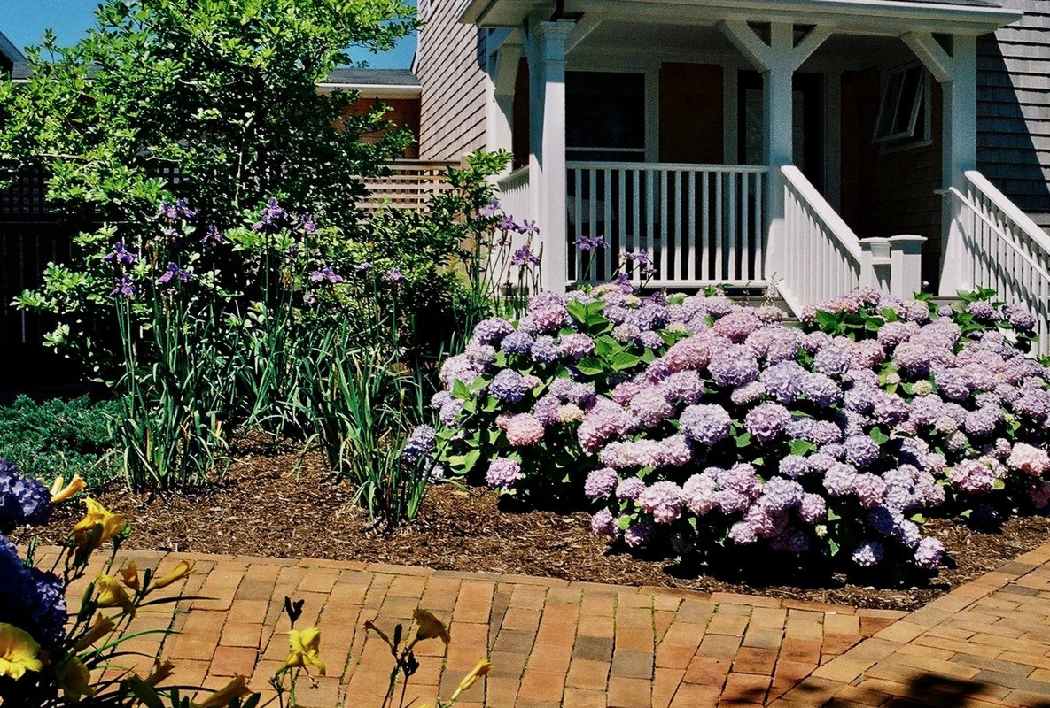 Before and after comparison of Cape Cod Memories - before