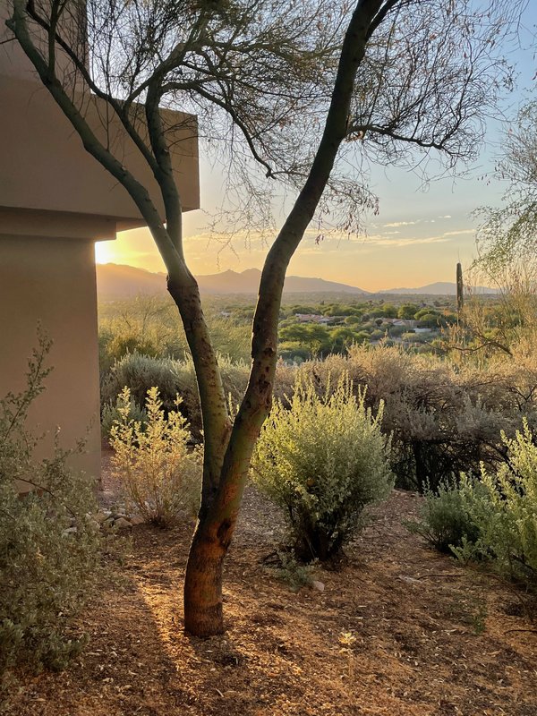 Before and after comparison of Sunrise in Tucson painting - before